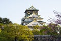 Osaka, Japan Ã¢â¬â Japanese castle with beautiful cherry blossom in spring season Royalty Free Stock Photo